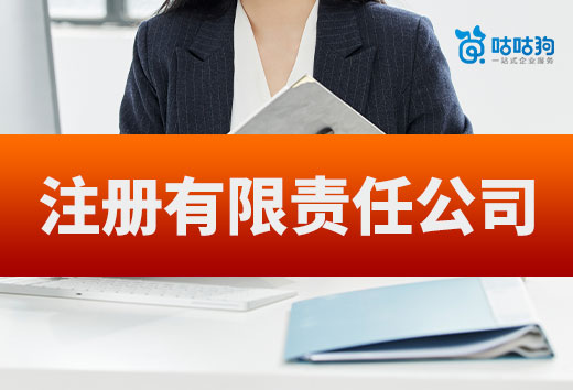 注册有限责任公司为什么一定要有监事?由谁来当?