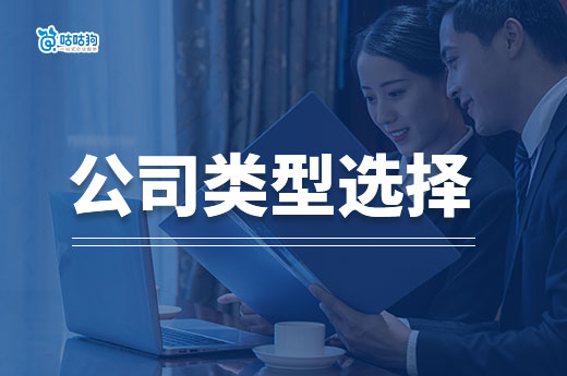 创业老板第一课:哪种公司类型适合我?